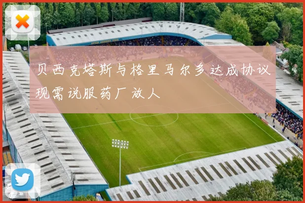 贝西克塔斯与格里马尔多达成协议现需说服药厂放人